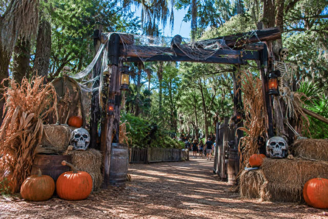 9 Halloween Events Still Happening Around Jacksonville