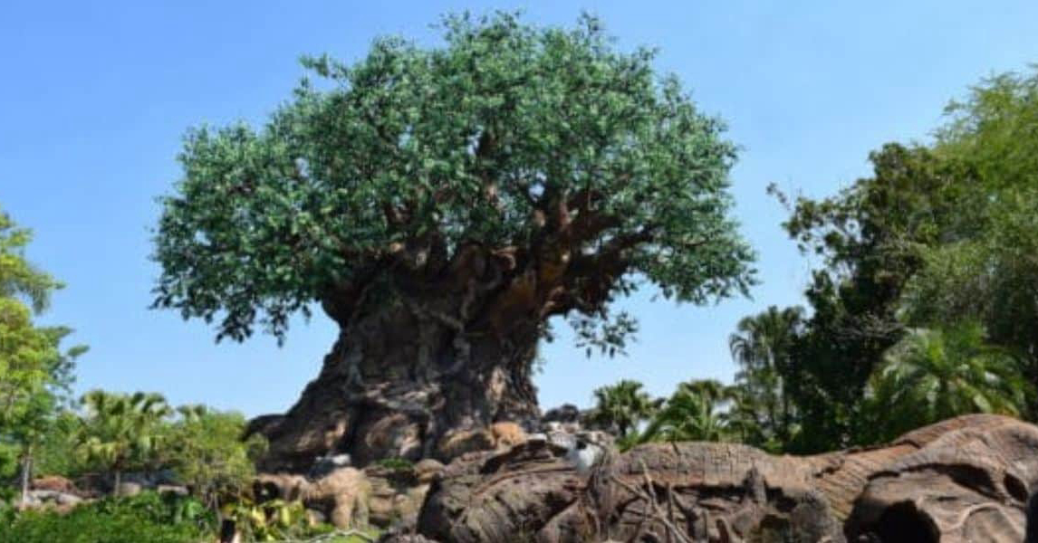 Animal Kingdom's Bus Depot Just Got a Lot Bigger