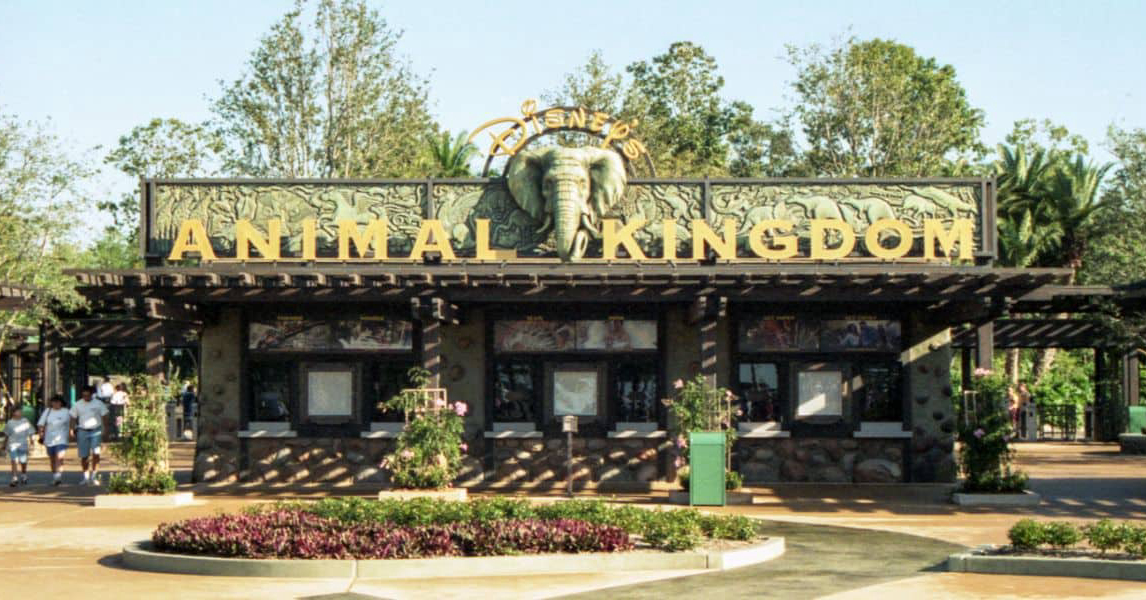 Animal Kingdom's Perimeter Gets a Fresh Paving Upgrade