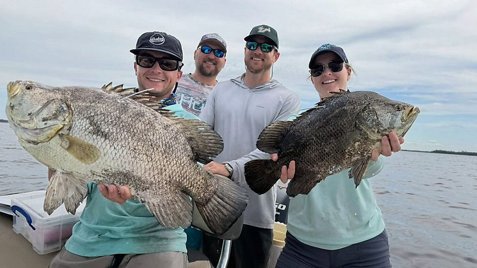 Tampa Researchers Tag Cobia and Tripletail Across Gulf
