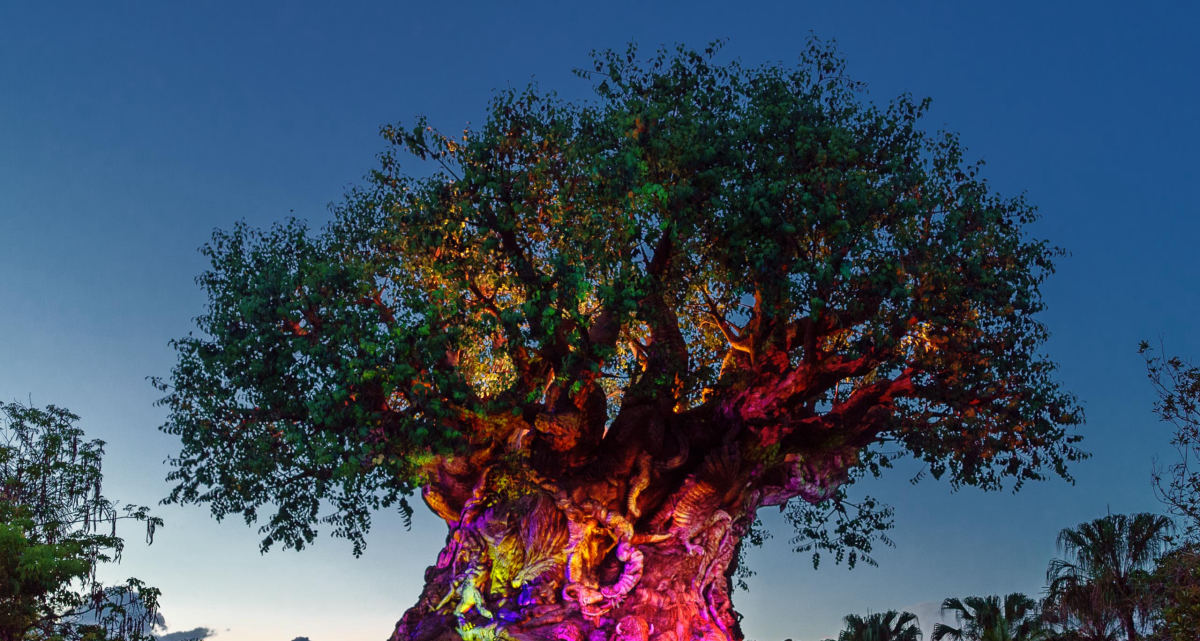 Animal Kingdom Tree of Life Awakenings November 2026 — The Florida Buzz