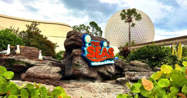 Mr. Ray Slide Reportedly Removed From Disney Dream Play Area