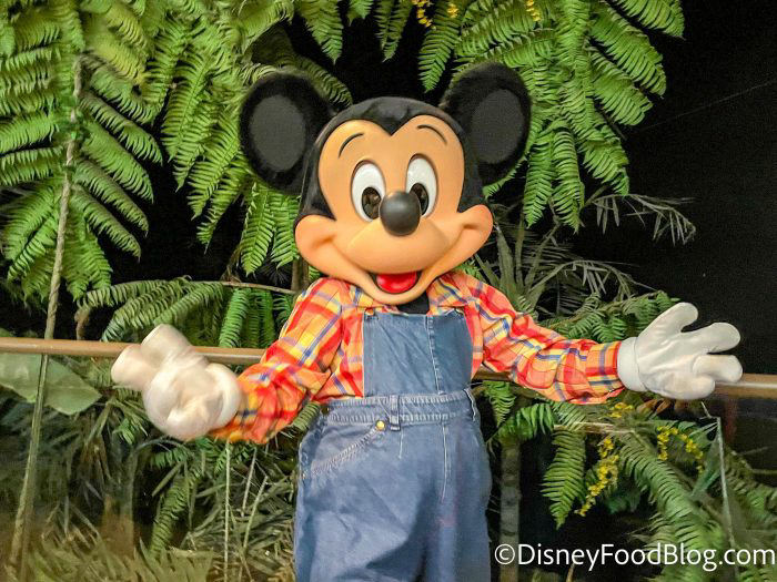 Disney World Raises Prices at Character Dining Restaurants