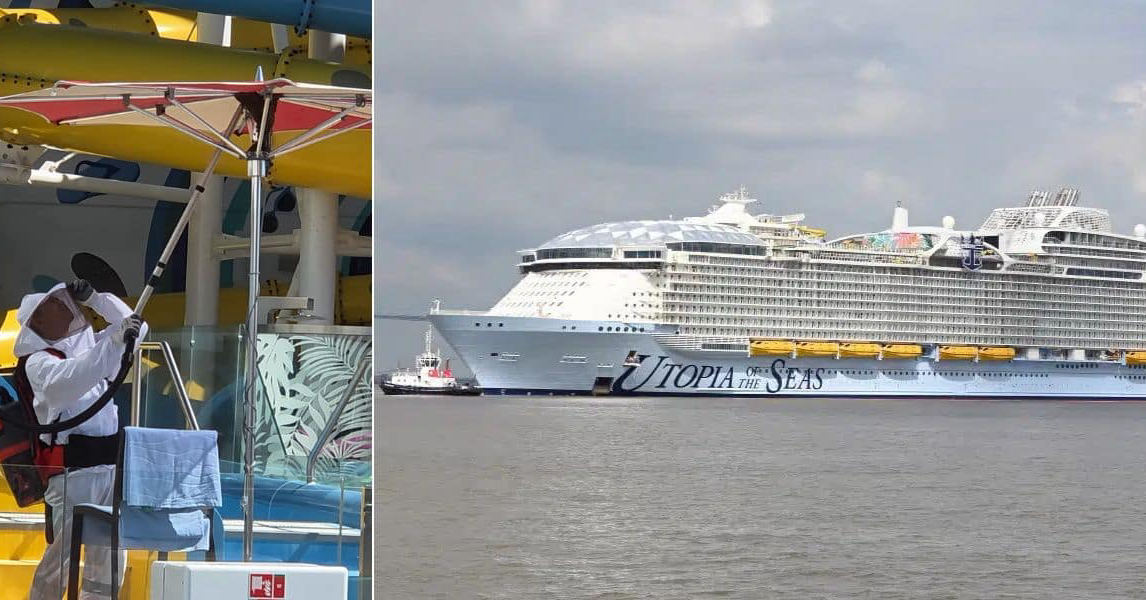 Bee Swarm Removed From Utopia of the Seas at Port Canaveral