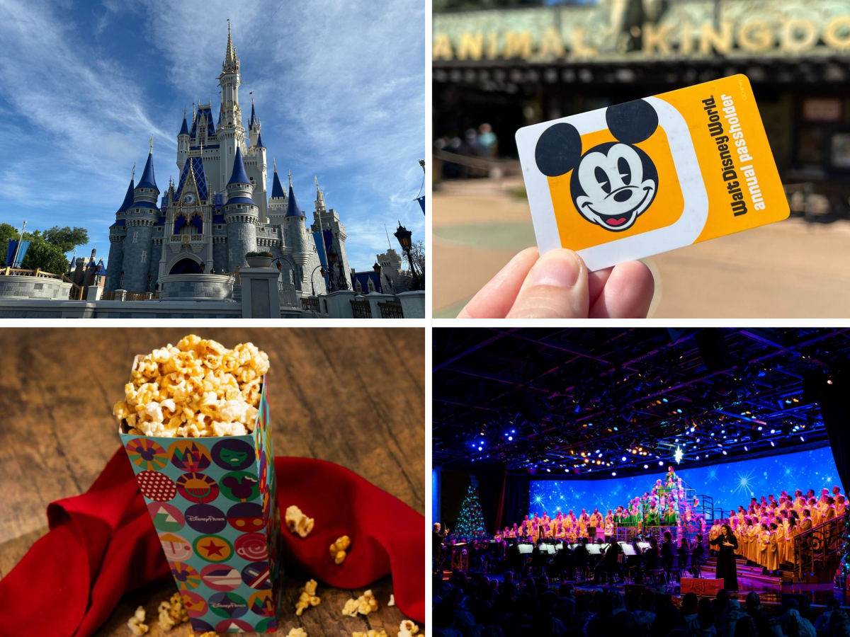 Disney World’s Peak 2027 One-Day Ticket Reaches $229