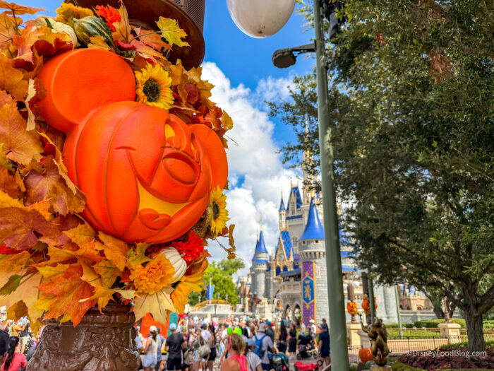Disney World Releases 2026-27 Resort Deals for Florida Guests