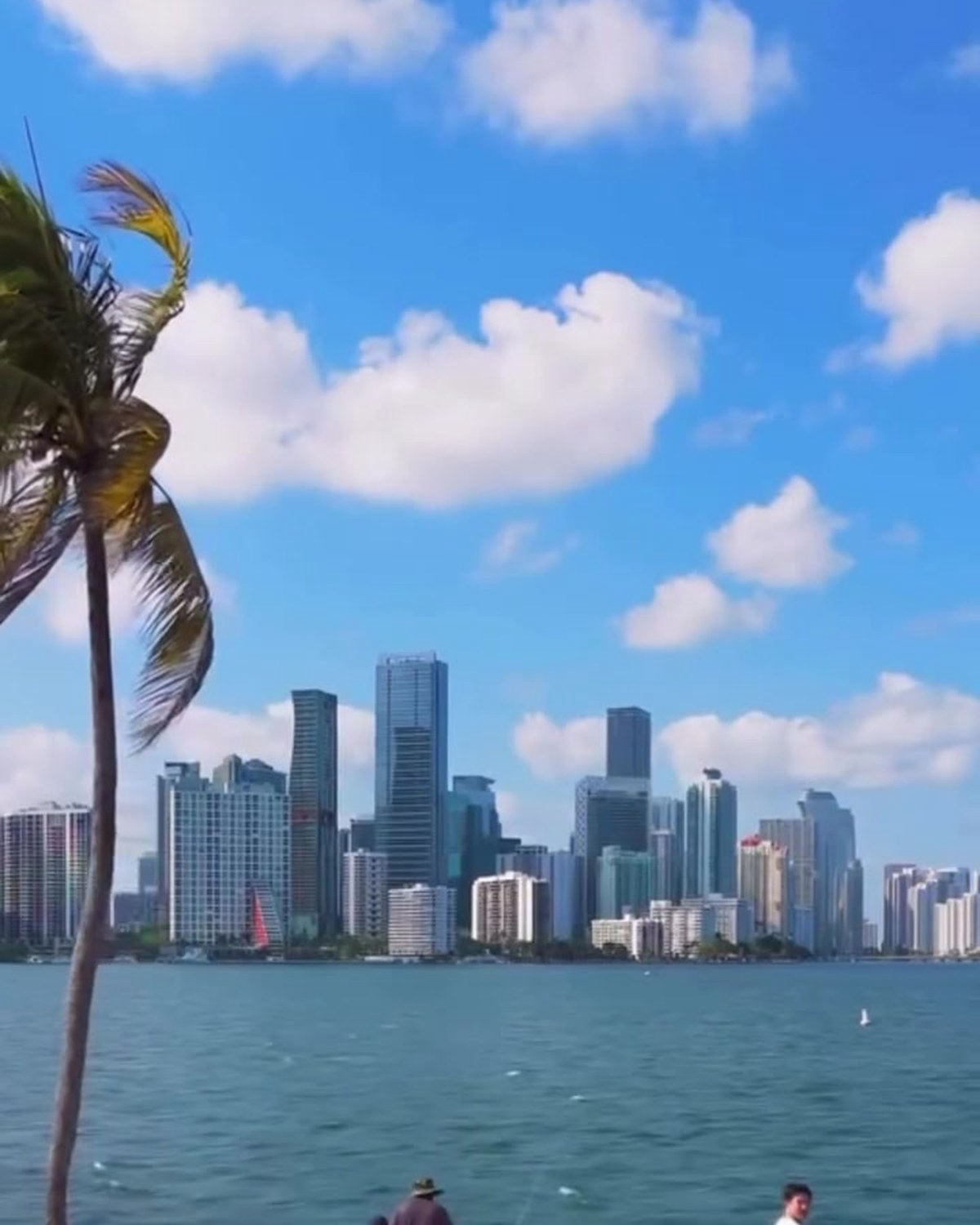 A Miami Chef’s 3 Outdoor Picks Beyond Restaurants