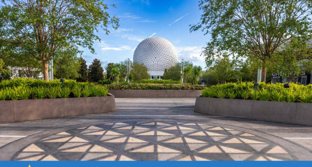 Disney World Lightning Lane Single Passes Reach $25