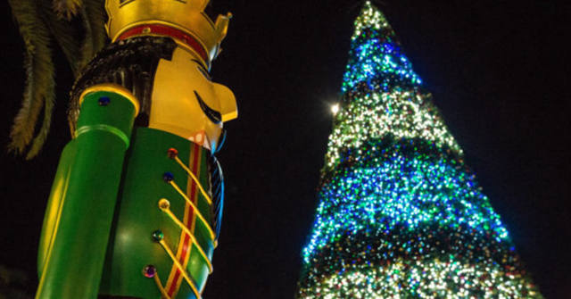 Orlando Sets 2026 Tree Lighting at Lake Eola