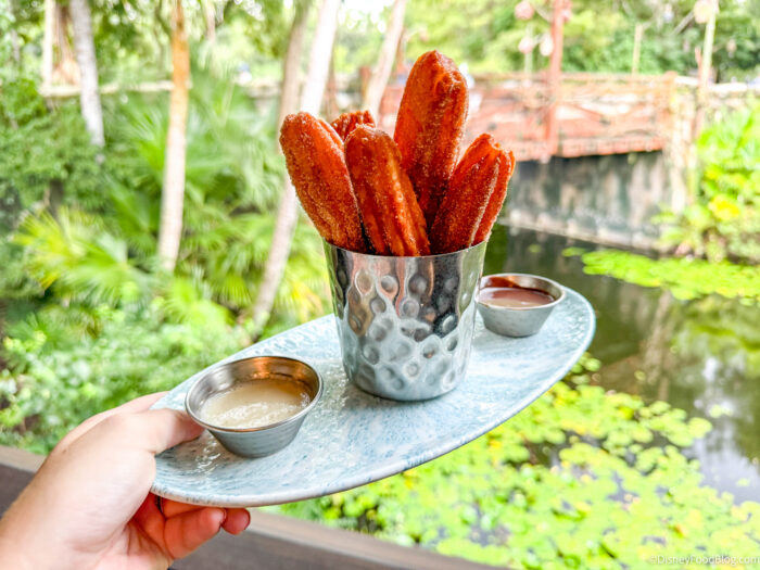 Nomad Lounge Churros Coming to Mobile Order at Animal Kingdom