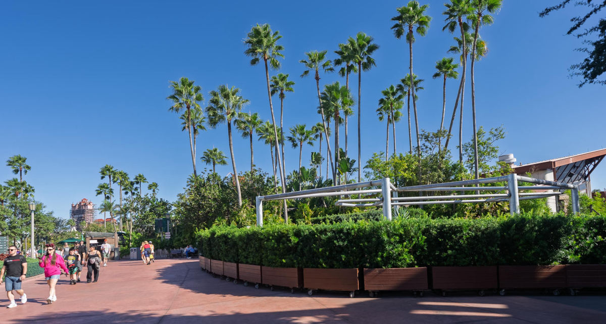 Steel Framework Rises at Project Fedora in Hollywood Studios