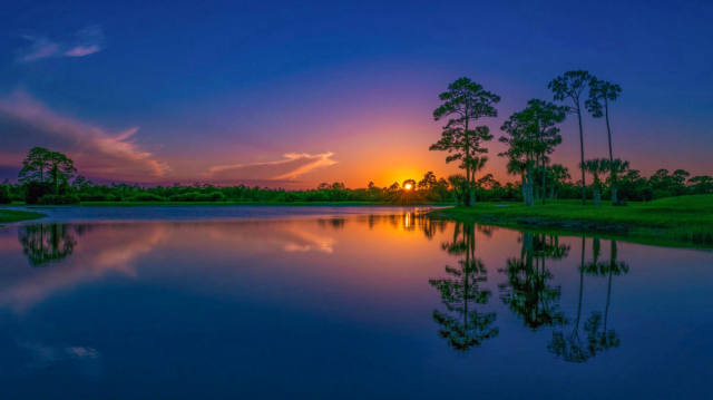 Atlantic Ridge Preserve: 30 Miles of Wild Florida Trails
