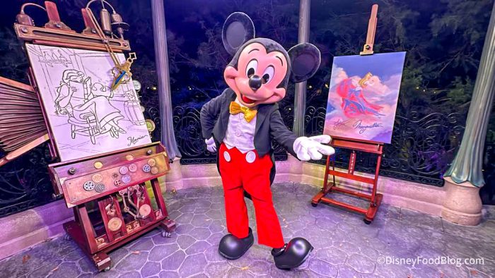 11 Amazon Finds That Make Disney Character Meet-Greets Magical