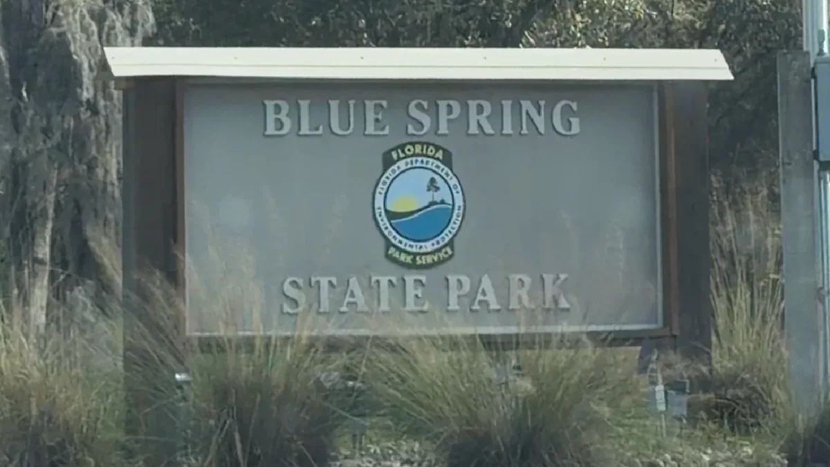 Blue Spring State Park Now Requires Day-Use Reservations