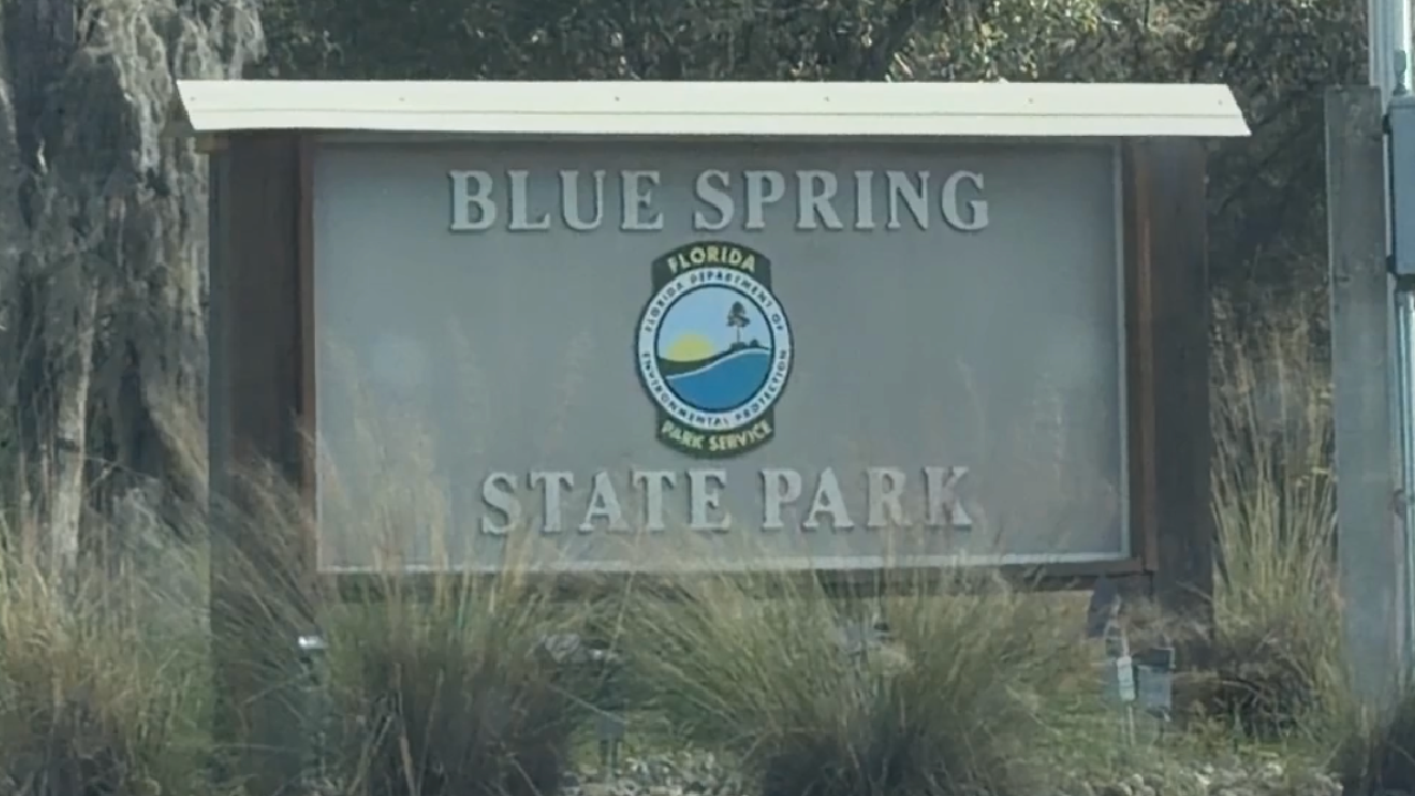 Blue Spring State Park Now Requires Day-Use Reservations