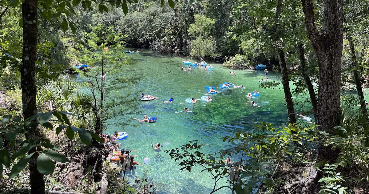 Blue Spring State Park Adds Day-Use Reservation Requirement