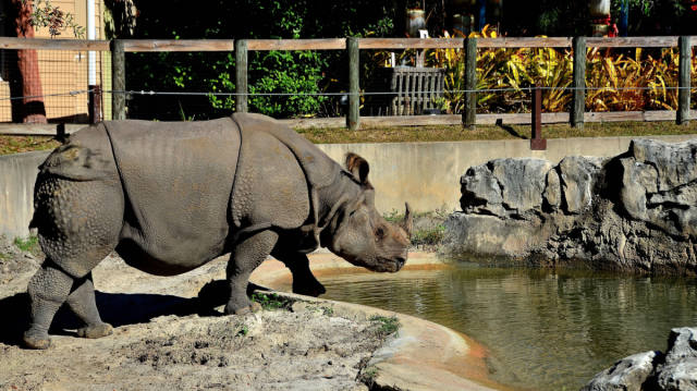 Central Florida Zoo Offers Animals, Train Rides and Seasonal Events