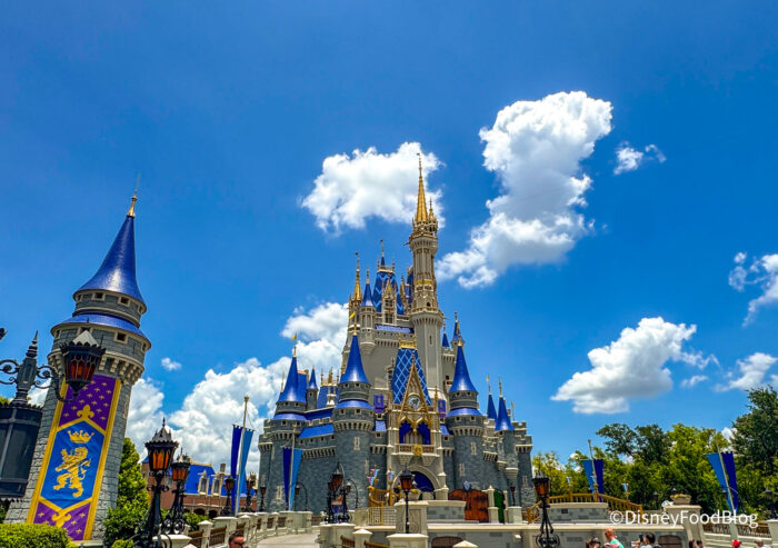 8 Personalized Disney World Souvenirs to Order Before You Go