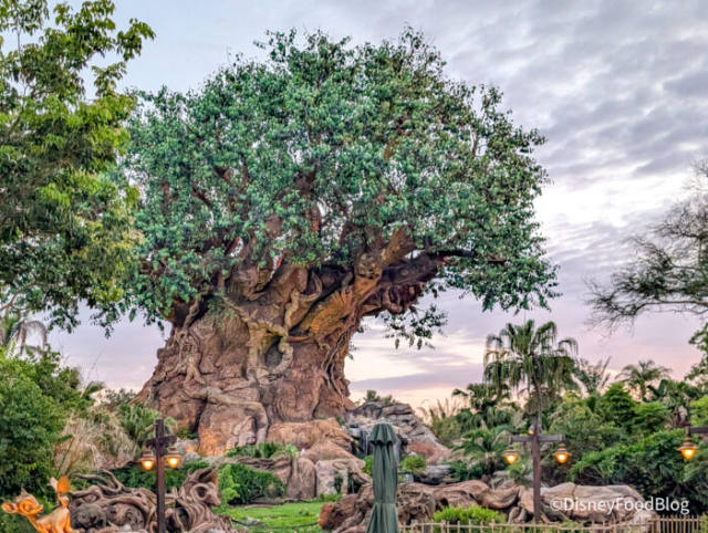 Animal Kingdom Sets October Late Nights and Earlier Safari Closing