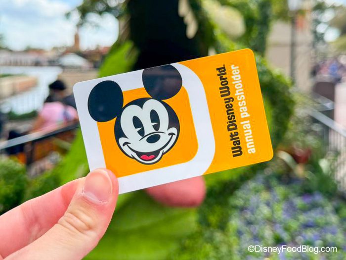 Disney World Passholders Score an Exclusive New Souvenir at Disney Springs