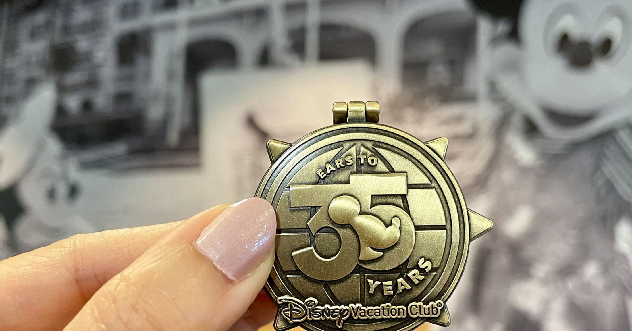 DVC Marks 35 Years With a Limited Anniversary Pin