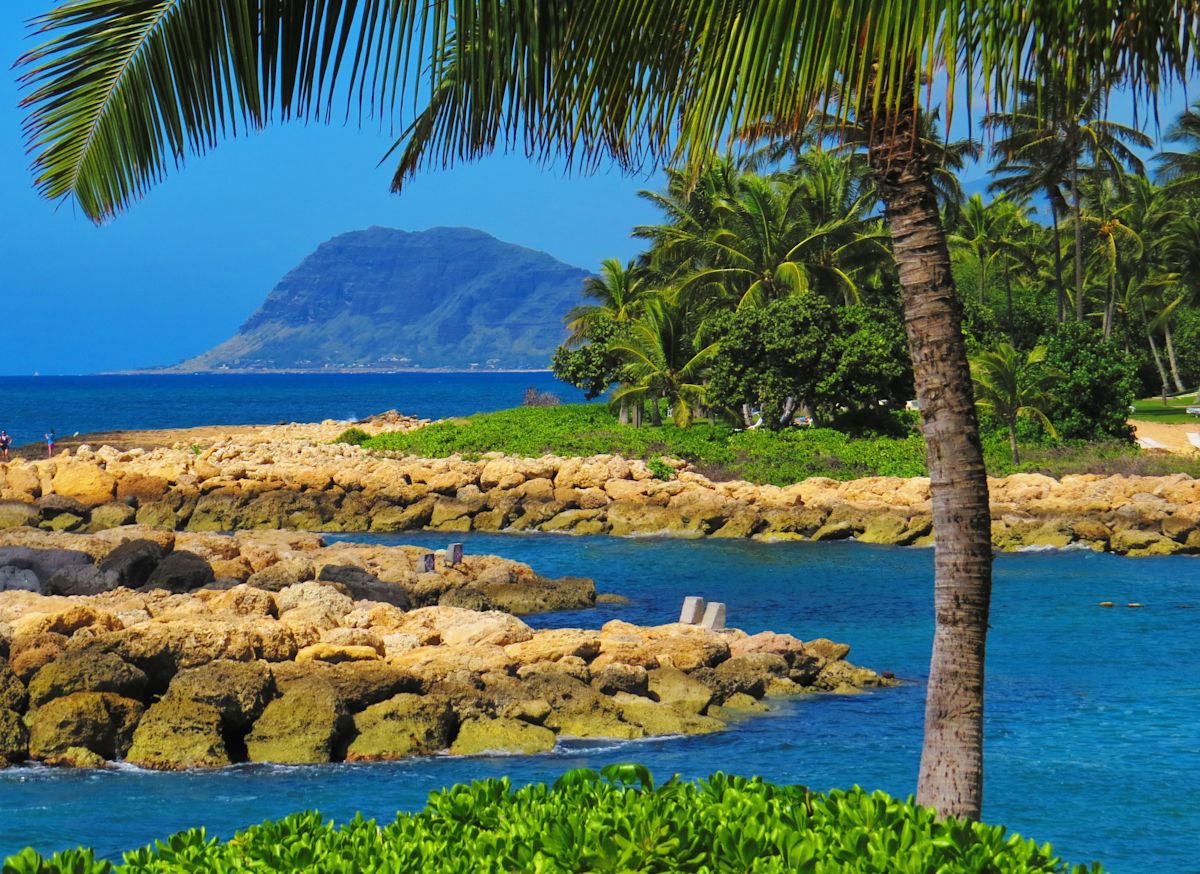 Disney Magic Beyond the Parks: Resorts, Cruises & World Tours