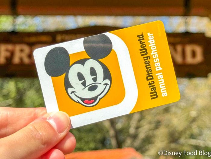 5 Bag Essentials Disney World Annual Passholders Swear By