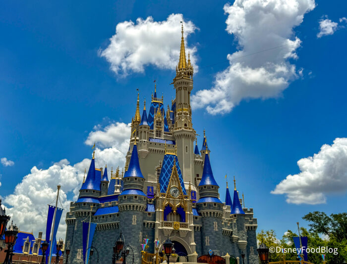 18 Disney World Closures to Know Before Your Visit