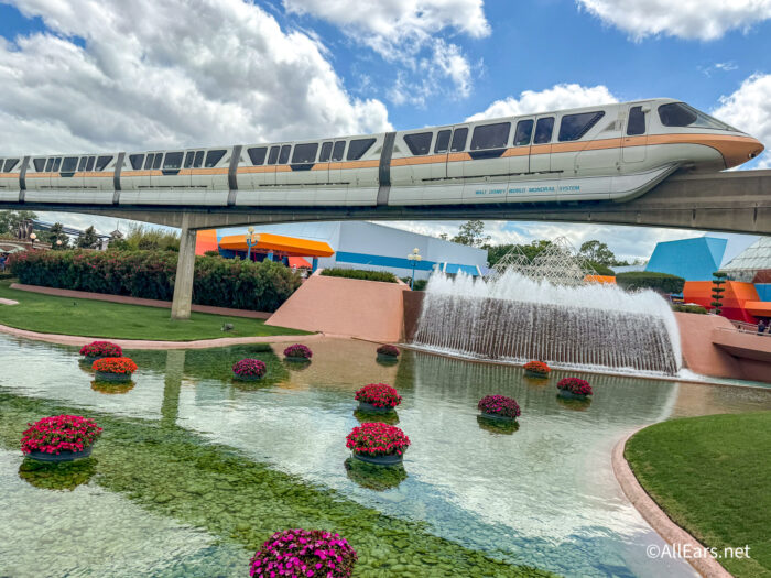 Disney World Crowds Shifting as Summer Winds Down