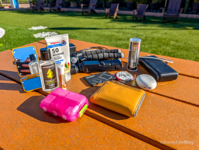 Skip the Park Markup: 7 Disney World Essentials to Buy on Amazon