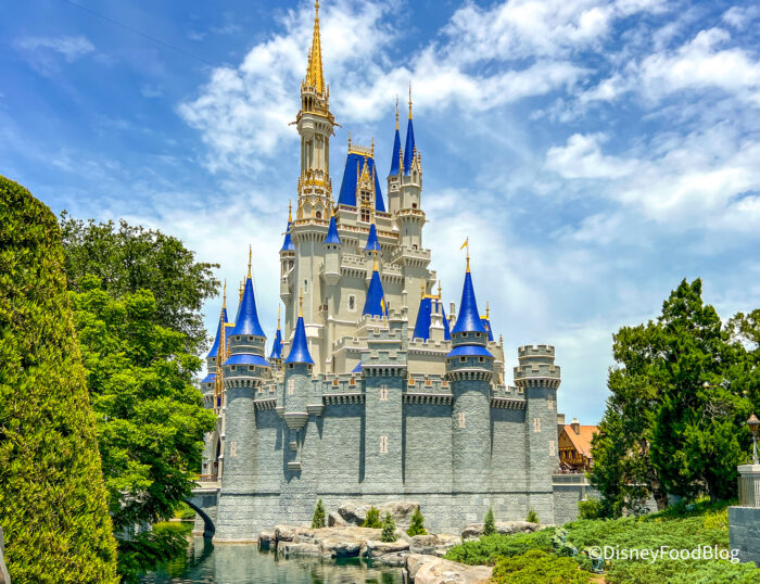 15 Must-Have Essentials for Your First Disney World Trip