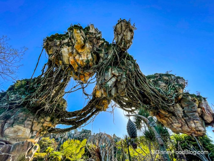 Heat Advisory in Effect at Disney World This Week