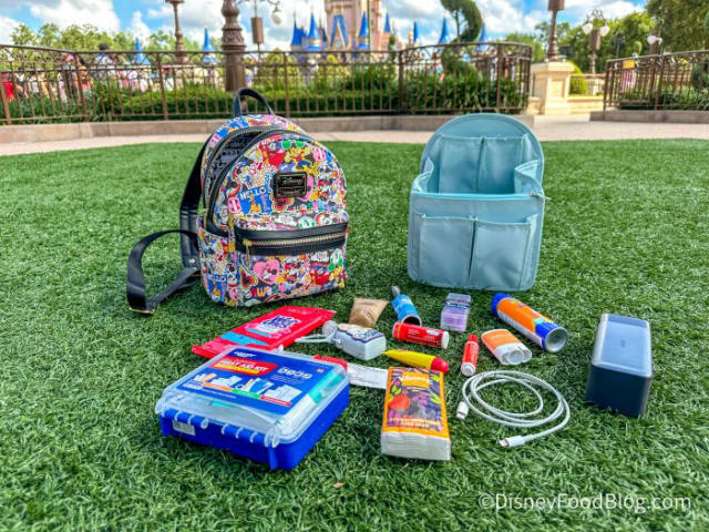 10 Park-Bag Essentials Recommended for Disney World Days