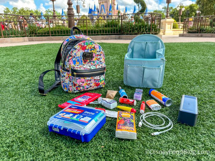 10 Park-Bag Essentials Recommended for Disney World Days