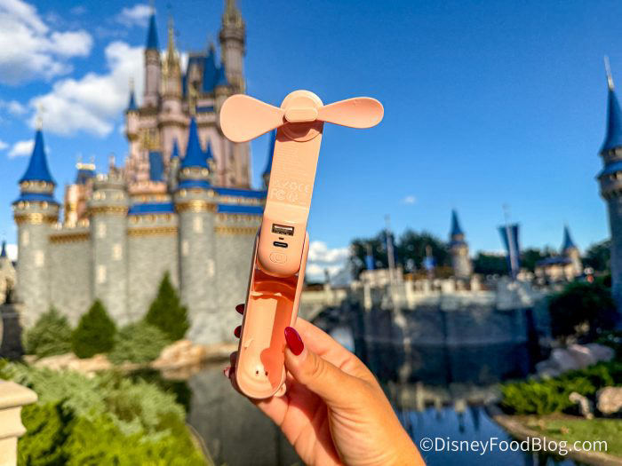 6 Disney World Essentials on Sale Right Now at Amazon