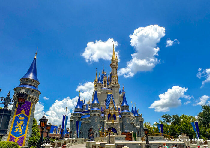 3 Disney World Items That Won’t Make It Past the Gate