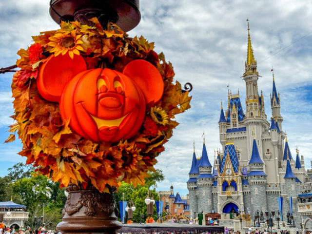 9 Confirmed Disney World Perks to Know for September 2026