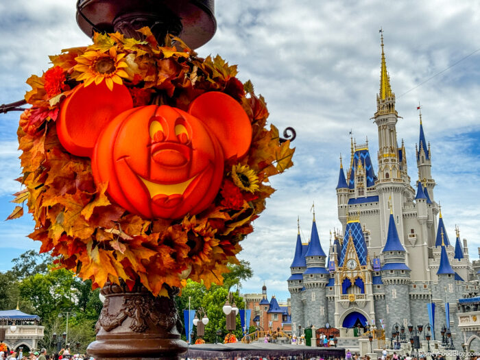 9 Confirmed Disney World Perks to Know for September 2026