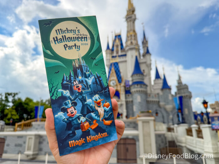 4 Disney World Updates You Need to Know This Week