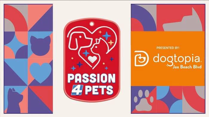 Dogtopia Jacksonville Beach Blvd. Details Pet Care Services