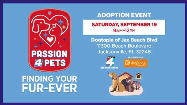 Jacksonville Pet Adoption Event This Saturday on Beach Blvd