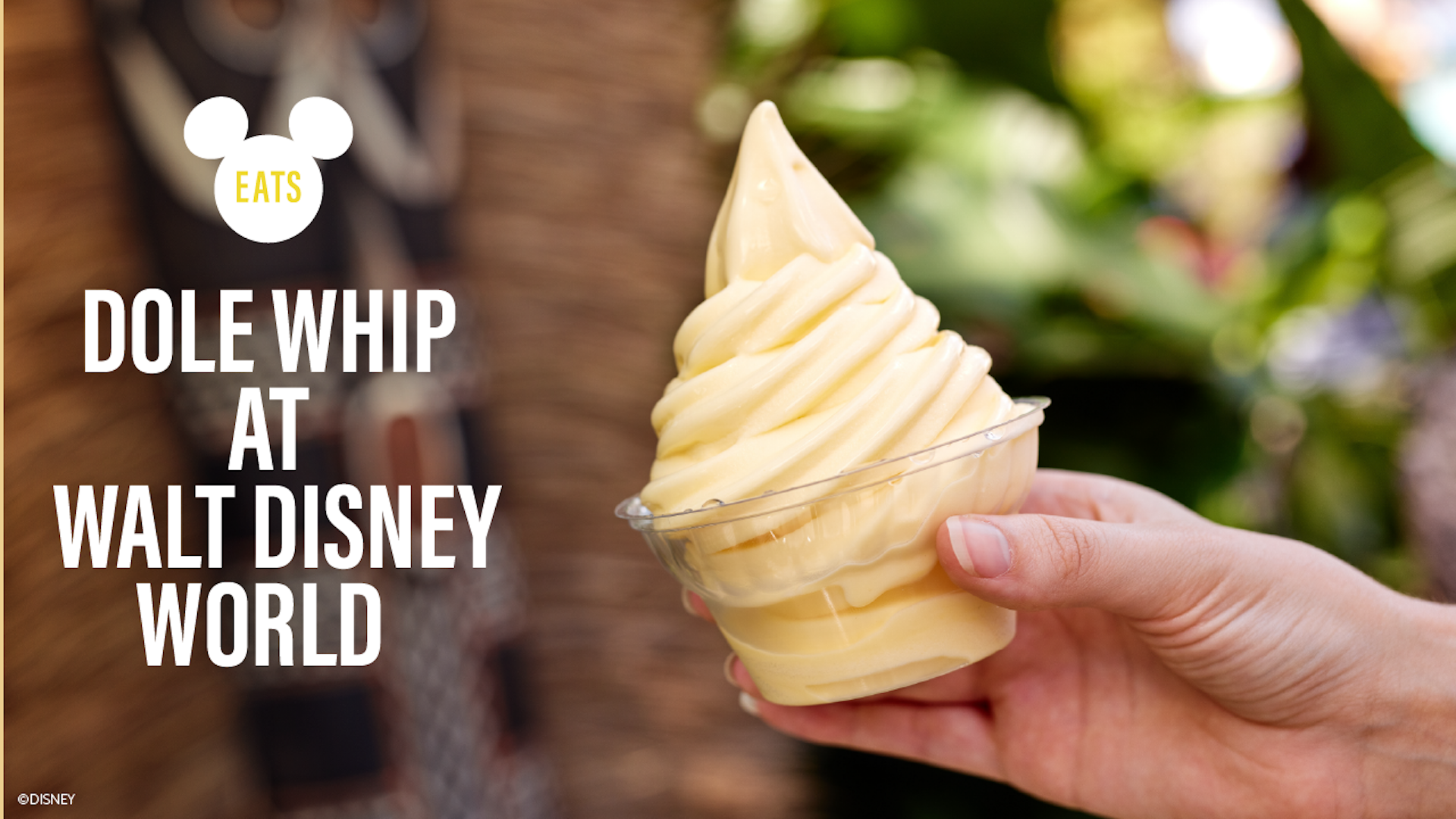 Every Place You Can Find DOLE Whip at Walt Disney World