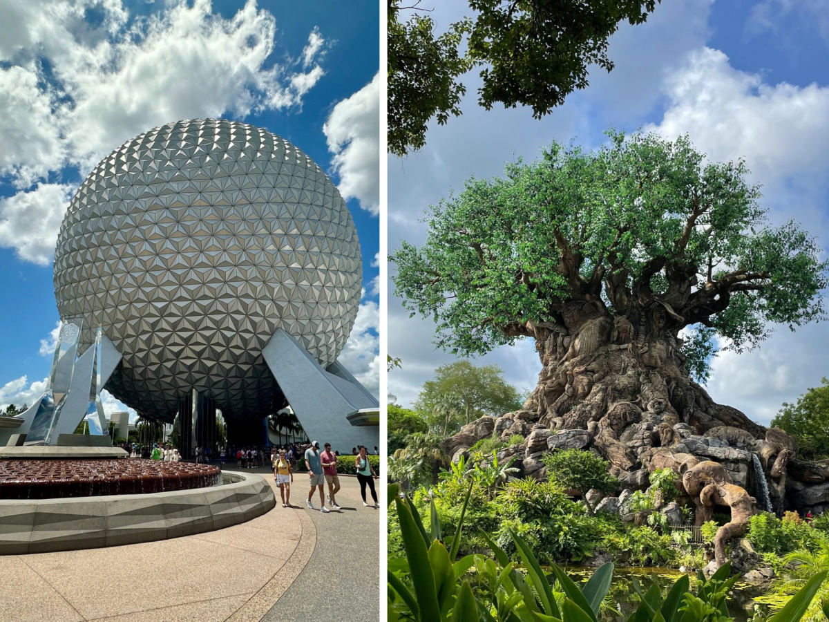 DVC Moonlight Magic Dates Set for EPCOT and Animal Kingdom
