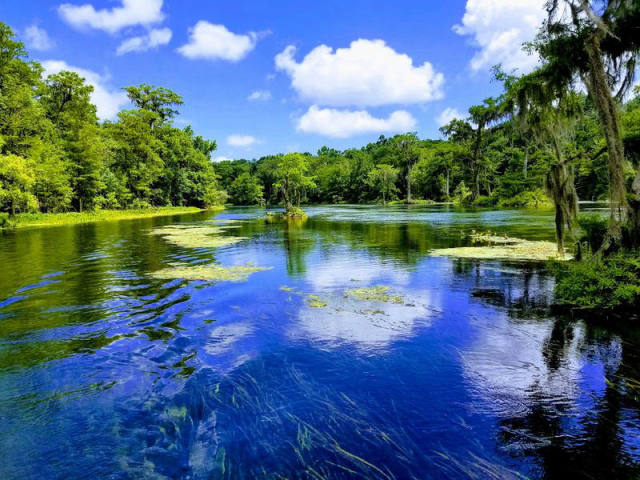 Wakulla Springs: Old Florida's Best-Kept Natural Secret