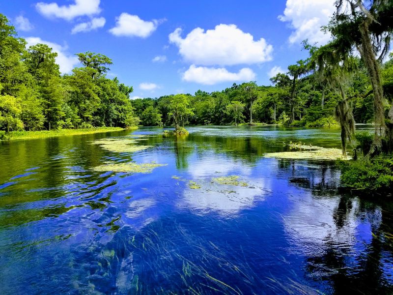 Wakulla Springs: Old Florida's Best-Kept Natural Secret