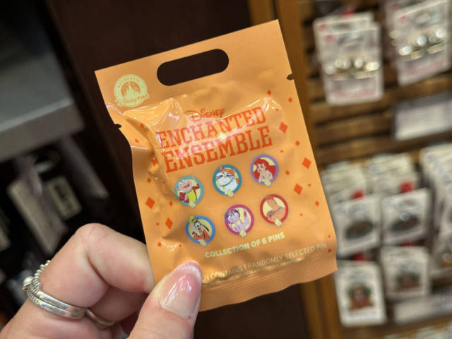 New Enchanted Ensemble Blind Pin Pack Lands at Disney World