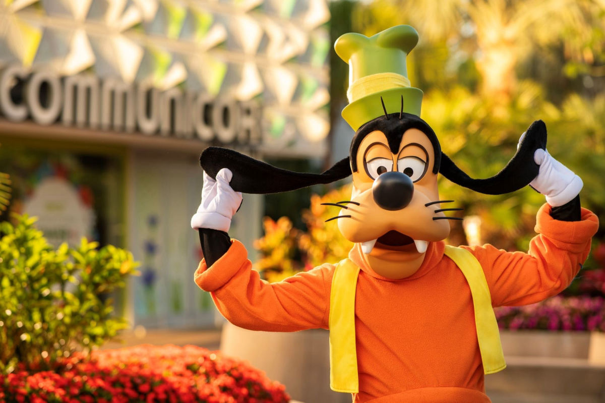 Mouse Spotted During Mickey and Goofy Meet-and-Greet at EPCOT
