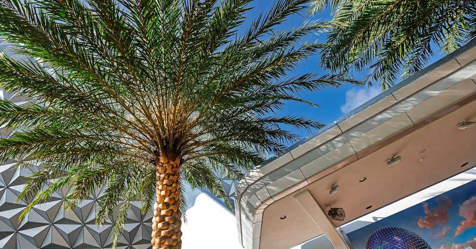 EPCOT's Spaceship Earth Gets New Palm Trees This Summer