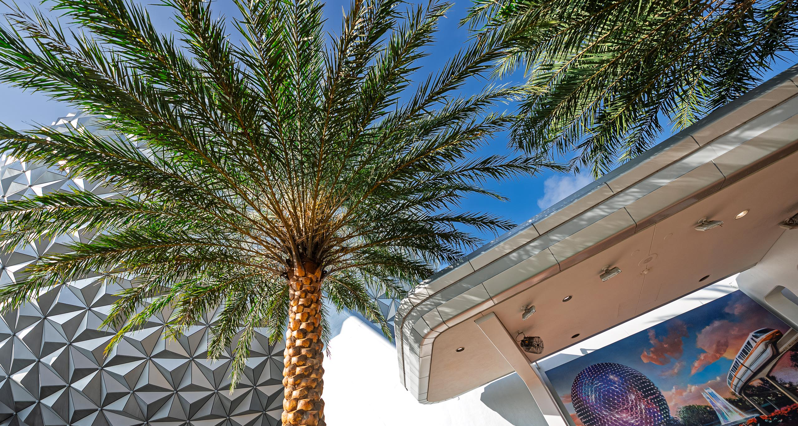 EPCOT Swaps In Cold-Hardy Palms Around Spaceship Earth