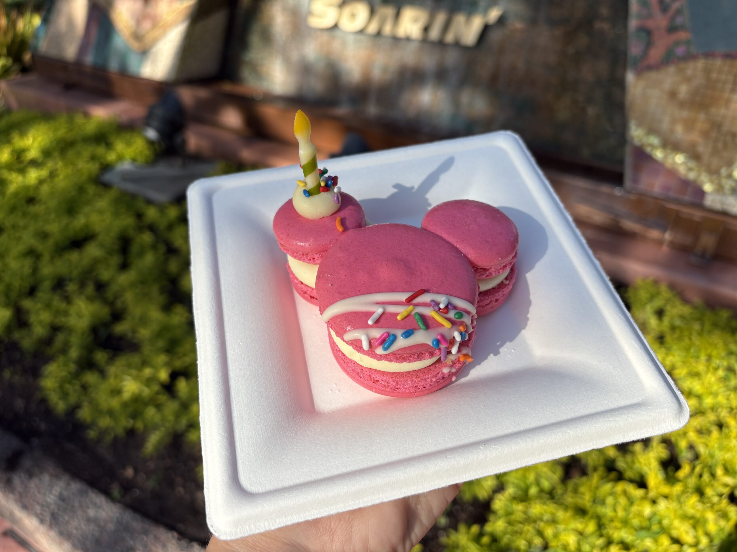 EPCOT's Mickey Macaron Looks Great, Tastes Just So-So